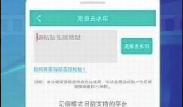 免费去视频水印,享受纯净视听体验